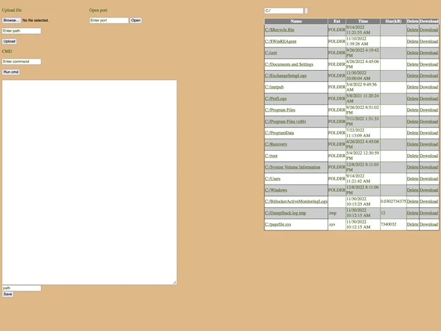 Screenshot of LocalOlive web shell